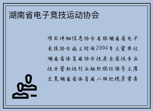 湖南省电子竞技运动协会